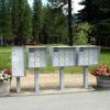 Peps members plant and maintain flower barrels at each mailbox bank in Plumas-Eureka Estates.