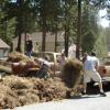 PEPS annual Pine Needle Pick Up project helps the community by hauling away pine needle piles the first weekend in June.